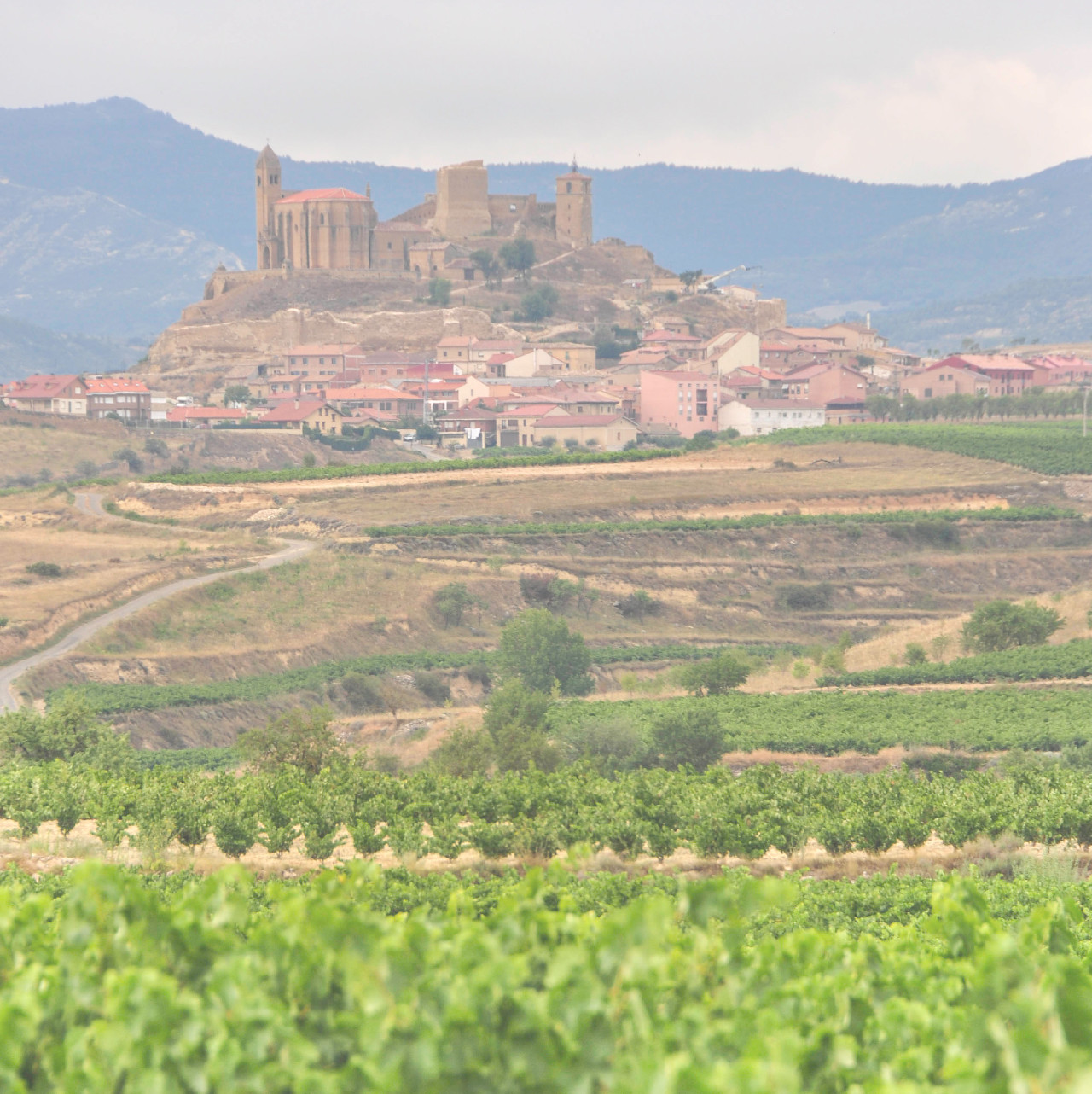 San Vicente de la Sonsierra